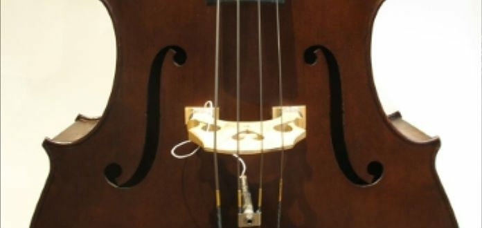 STOLEN ALERT | Two Double Basses Stolen in North Carolina, USA [PLEASE SHARE] - image attachment