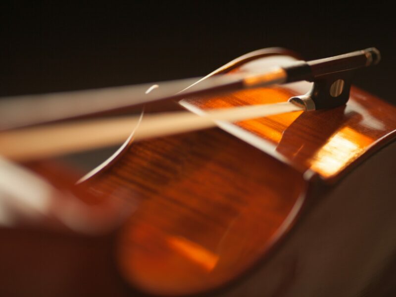 Violin Audition Panel