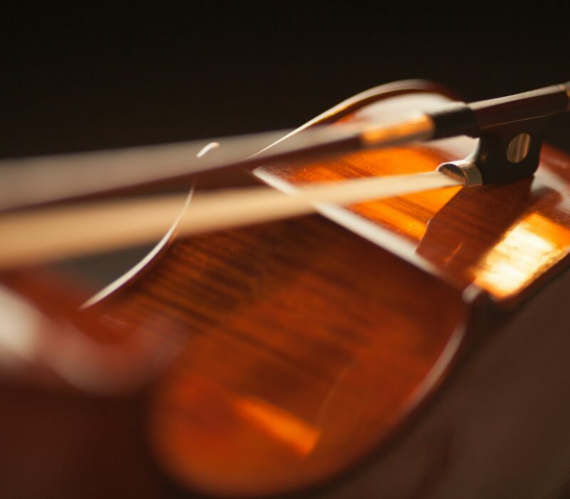Violin Audition Panel