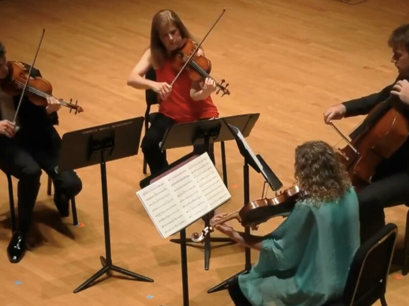 VC LIVE | Bowdoin International Music Festival Presents: "Still, Bermel, & Brahms" - image attachment