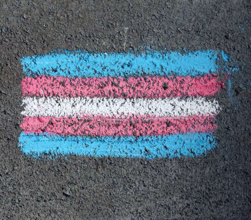 Transgender Flag