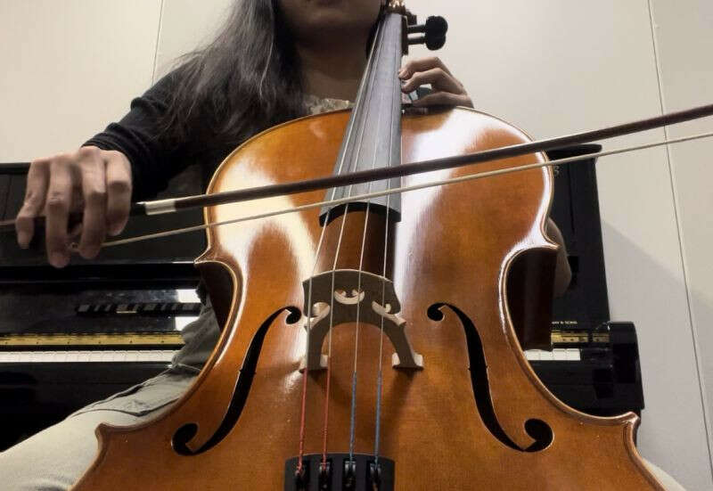 2019 Tiberio Carroll cello was stolen