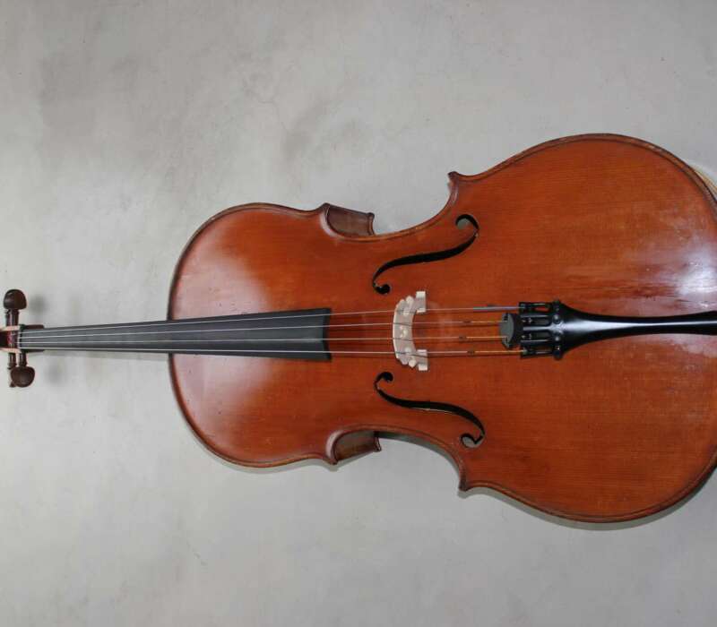 Stolen Cello Babette Roosenschoon
